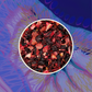Blackberry Tea - Böğürtlenli Hibiscus Çayı