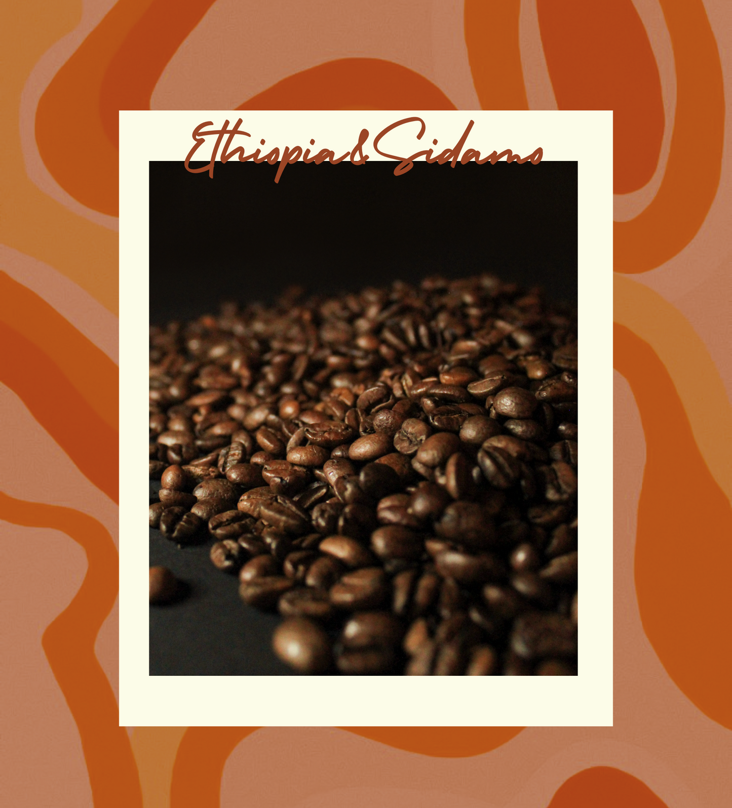Ethiopia Sidamo Kahvesi - İçimde Uyanan Bir Rüya