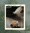 Milk Oolong Tea - Milk Oolong Tea