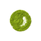 Berry Matcha - Böğürtlenli Matcha
