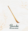 Bamboo Matcha Scoop (Chashaku) - Bamboo Matcha Spoon